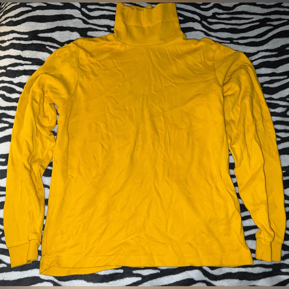 💛EUC💛 Turtleneck Pullover
